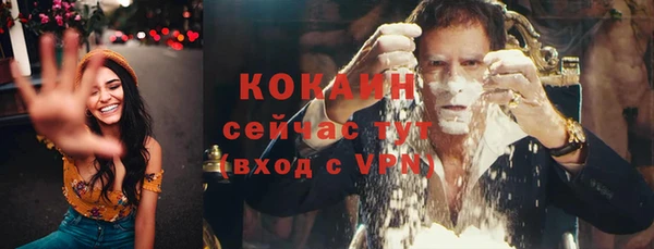соль ск Абаза
