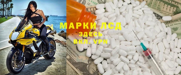 гашик Алексин