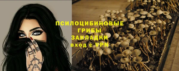 а пвп мука Алзамай