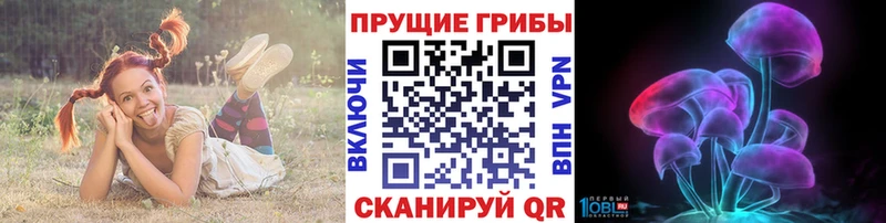 Псилоцибиновые грибы мицелий  Астрахань 